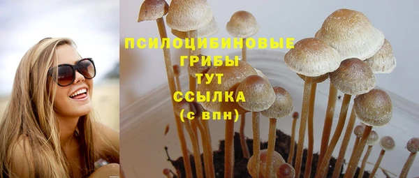 СК Алексеевка