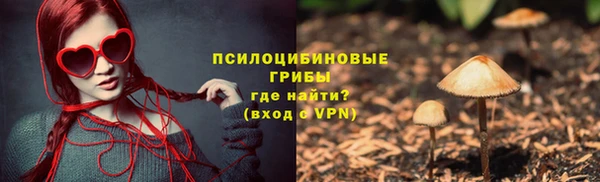 МДПВ Алексин