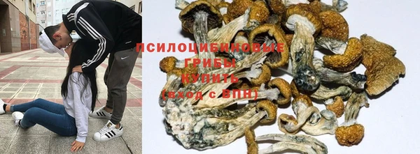 стафф Армянск