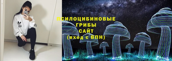 spice Арсеньев