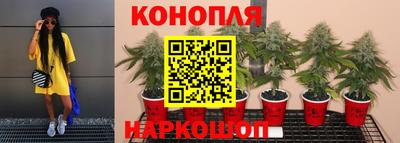 гидра Комсомольск-на-Амуре