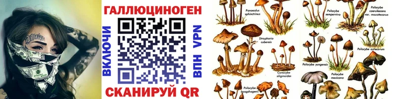OMG Междуреченск Галлюциногенные грибы мухоморы