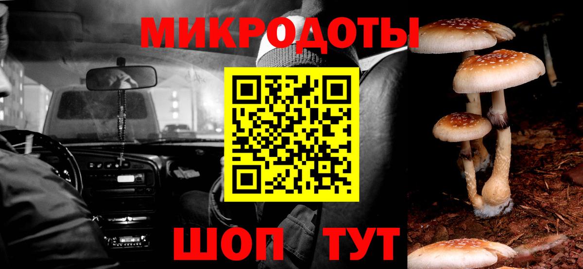 Междуреченск  Галлюциногенные грибы прущие грибы  Вход с VPN 